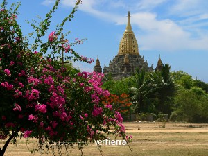Viajar a Myanmar_Bagan1