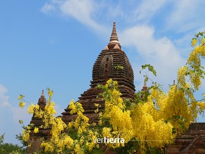 Viajar a Myanmar_Bagan2