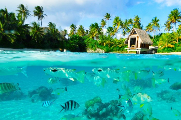 ¿Quieres perderte en Polinesia? Descubre su destino estrella, Bora Bora